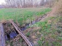 Bucsuta Családi ház