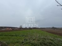 Semjénháza Családi ház