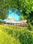 Balatonmáriafürdő Üzlethelyiség