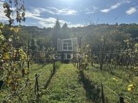 Homokkomárom Nyaraló