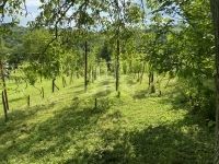 Homokkomárom Nyaraló