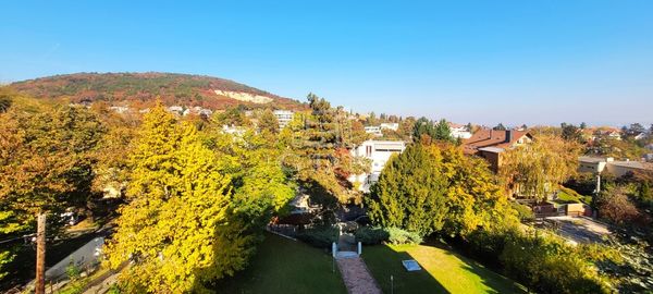 Verkauf Budapest II. kerület Wohnung (Ziegel)