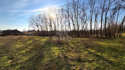 Újfehértó Telek - 17.000.000 Ft