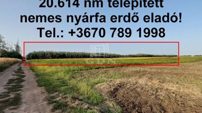 Hajdúnánás Agricultural area - 12.875.000 HUF
