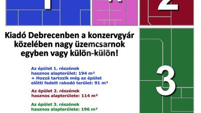 Debrecen Commercial - Commercial premises - 430.000 HUF
