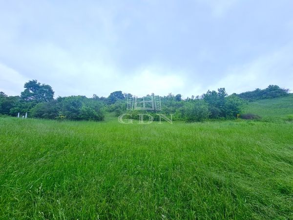 For sale Mány Agricultural area