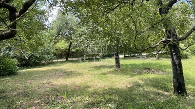 Budakeszi 土地 - 54.900.000 HUF