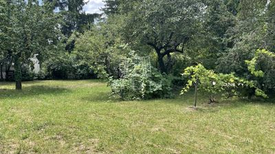 Budakeszi Telek - 49.900.000 Ft