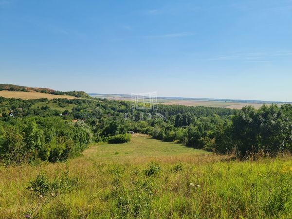 Vânzare Mány Zona agricola