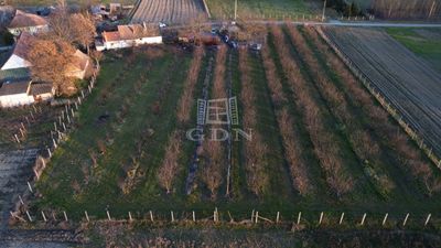 Dunafalva Családi ház - 13.000.000 Ft