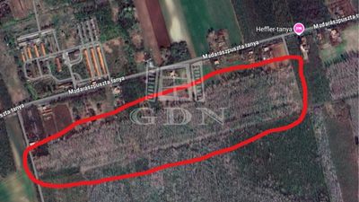 Madaras Mezőgazdasági terület - 11.000.000 Ft