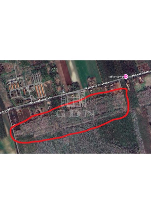 Eladó Madaras Mezőgazdasági terület