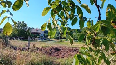 Szigliget Telek - 59.000.000 Ft