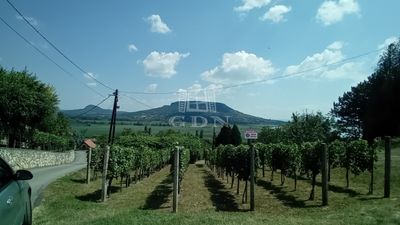 Szigliget Telek - 59.000.000 Ft