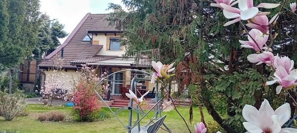 Eladó Gödöllő Családi ház