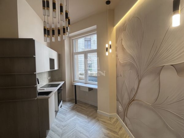 Verkauf Budapest VII. kerület Wohnung (Ziegel)