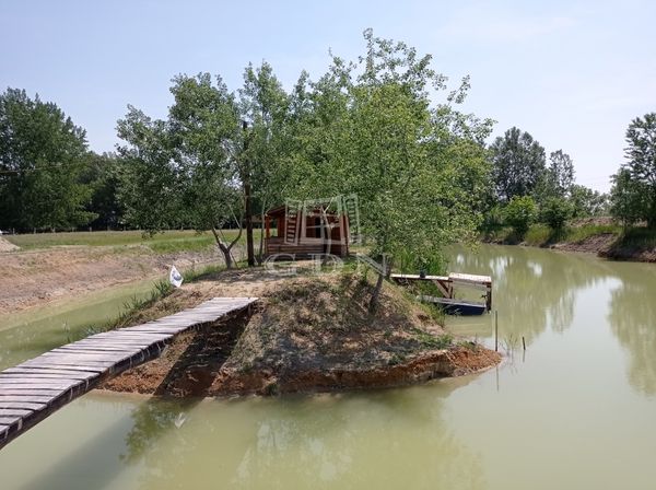 Vânzare Csengele Zona agricola