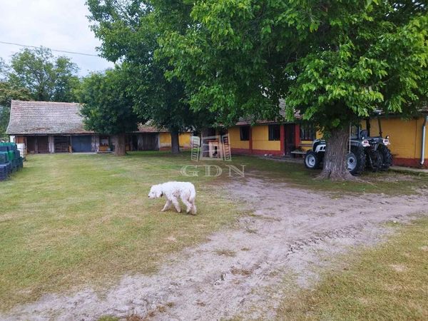 For sale Zákányszék Farm