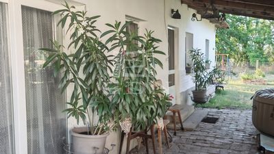 Kistelek 农场 - 38.990.000 HUF