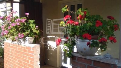 Szeged Частный дом - 63.500.000 HUF