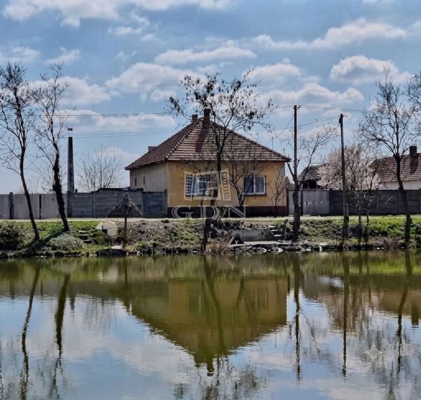 Vânzare Földeák Casa Familiala