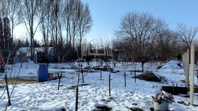 Újszentiván Telek - 15.500.000 Ft