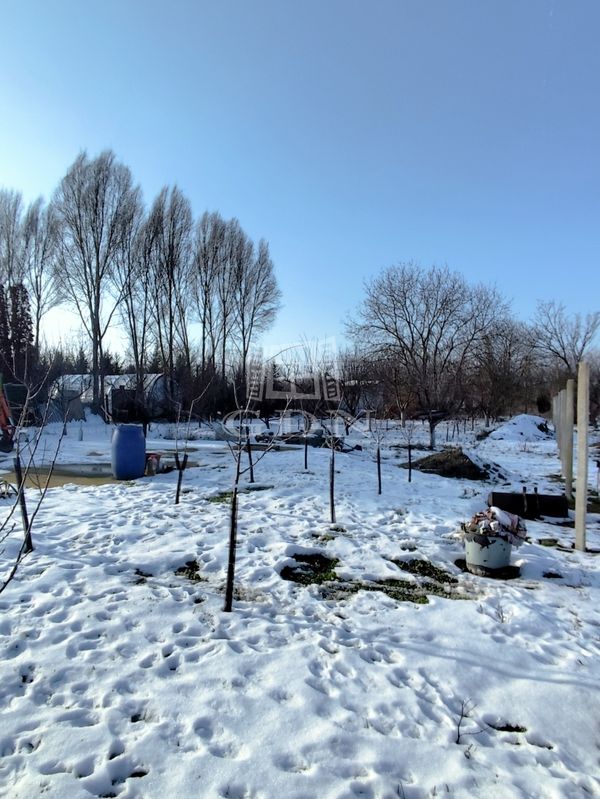 Eladó Újszentiván Telek