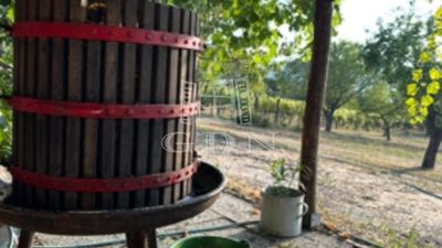 Kőröshegy Telek - 39.000.000 Ft