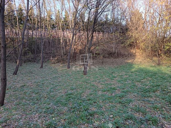 Eladó Veresegyház Telek