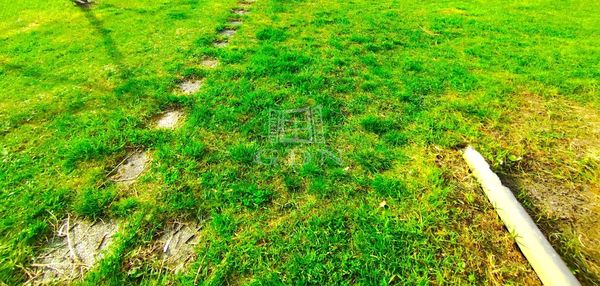 Eladó Kistarcsa Telek