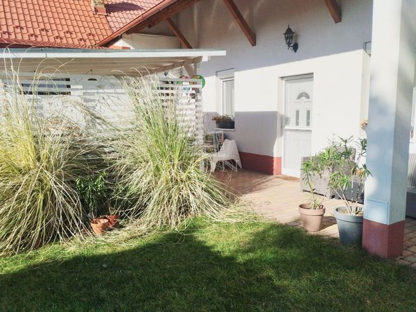 Eladó Budapest XIX. kerület Lakás