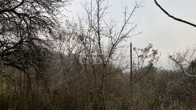 Budaörs Участок - 70.000.000 HUF