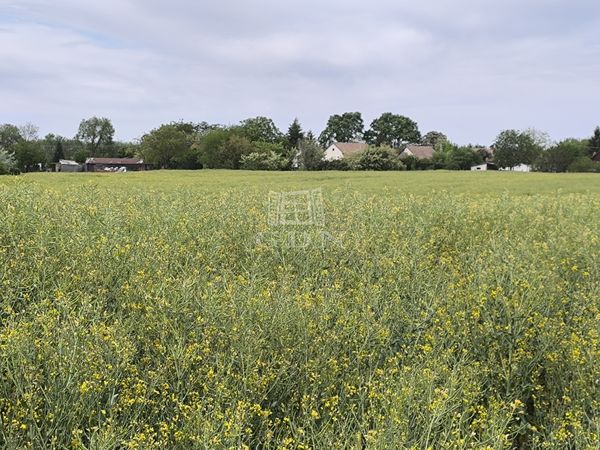 Verkauf Tass Mehrfamilienhaus