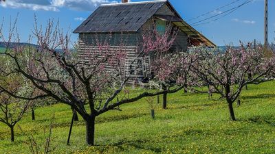 Edelény Mezőgazdasági terület - 13.500.000 Ft