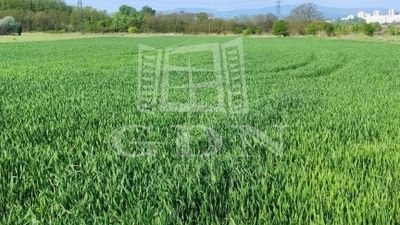 Miskolc Mezőgazdasági terület - 10.000.000 Ft