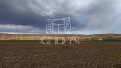 Vácrátót Agricultural area - 47.000.000 HUF