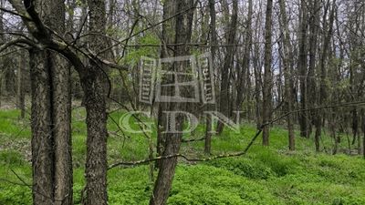 Pócsmegyer Agricultural area - 20.000.000 HUF