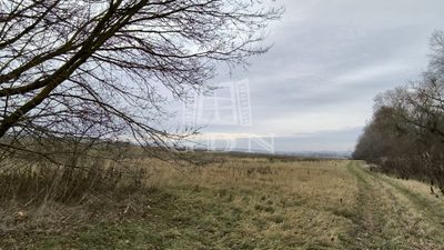 Veresegyház Mezőgazdasági terület - 4.900.000 Ft