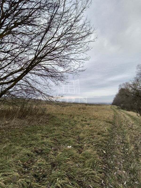 Eladó Veresegyház Mezőgazdasági terület