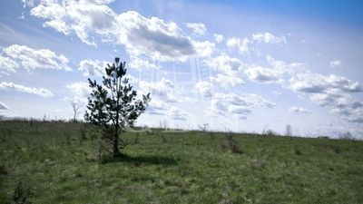 Csomád Agricultural area - 5.500.000 HUF