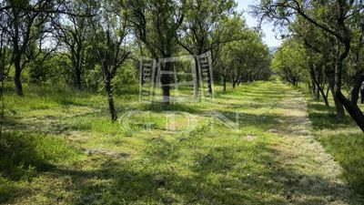 Pomáz Agricultural area - 14.000.000 HUF