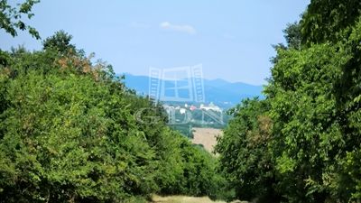 Vác Mezőgazdasági terület - 1.800.000 Ft