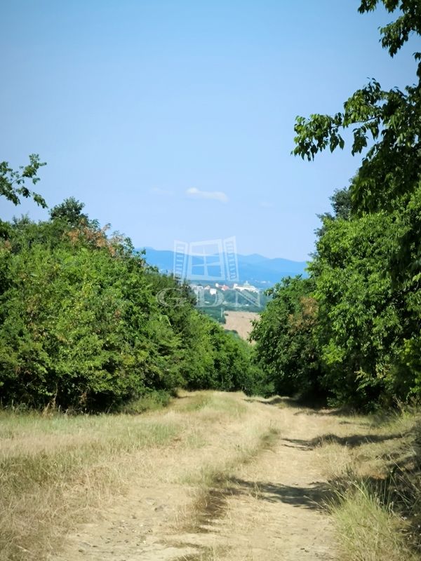 Verkauf Vác Landwirtschaftliche Flächen