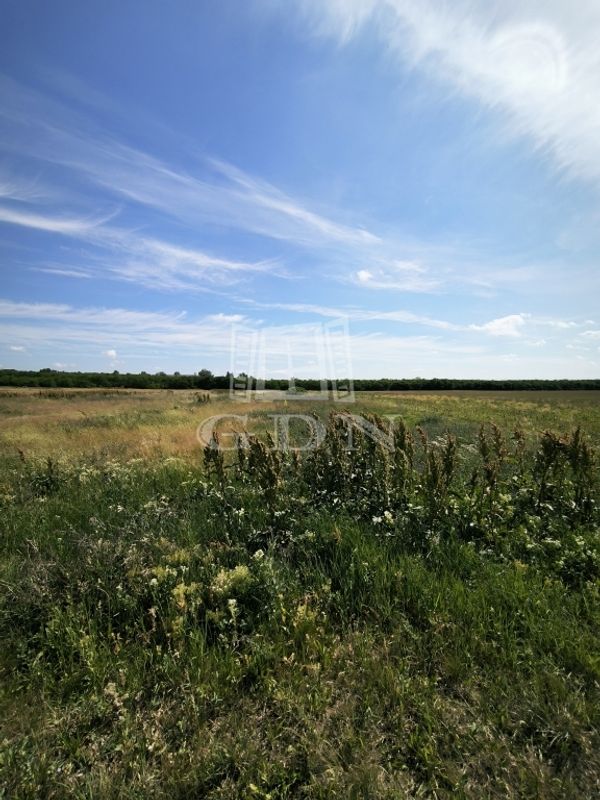 For sale Budapest XIV. kerület Agricultural area