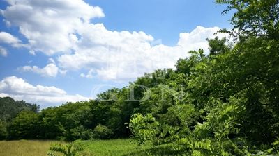 Sződ Agricultural area - 19.900.000 HUF