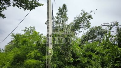 Sződ Agricultural area - 12.900.000 HUF