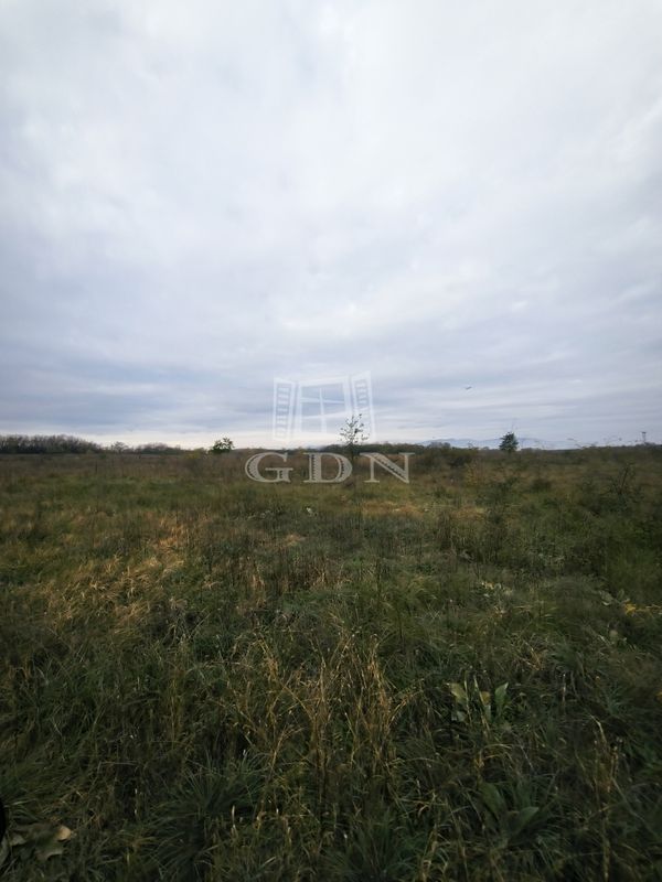 For sale Csomád Agricultural area