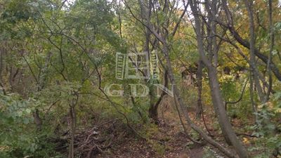 Pomáz Agricultural area - 1.900.000 HUF