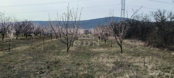 Verkauf Pomáz Landwirtschaftliche Flächen