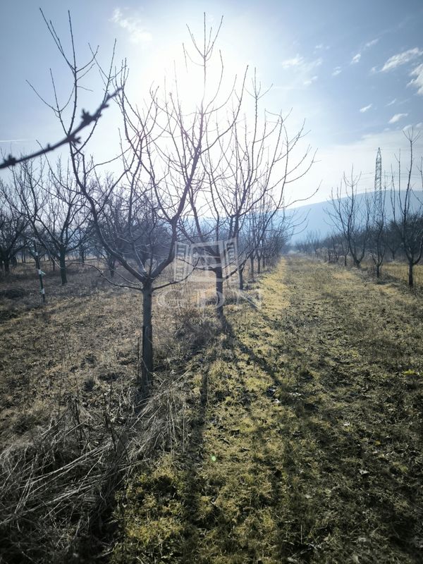 For sale Pomáz Agricultural area